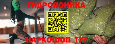 МДПВ Сланцы