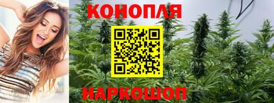 Альфа ПВП Славгород