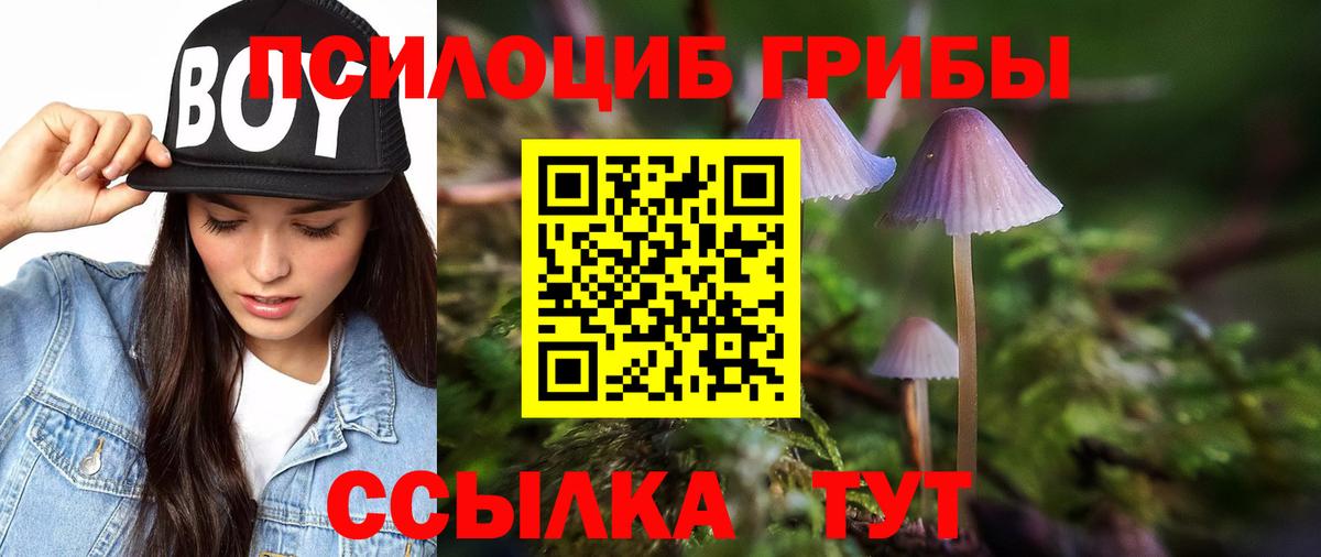 Псилоцибиновые грибы ЛСД  Псилоцибиновые грибы MAGIC MUSHROOMS  Усолье-Сибирское  купить наркотики цена  Вход с VPN 